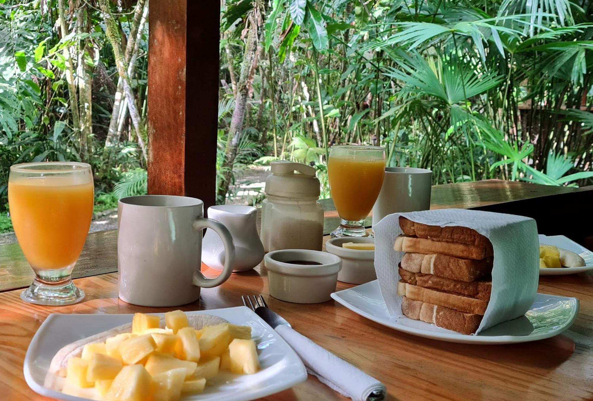 El Colibri Lodge 曼萨尼约 外观 照片